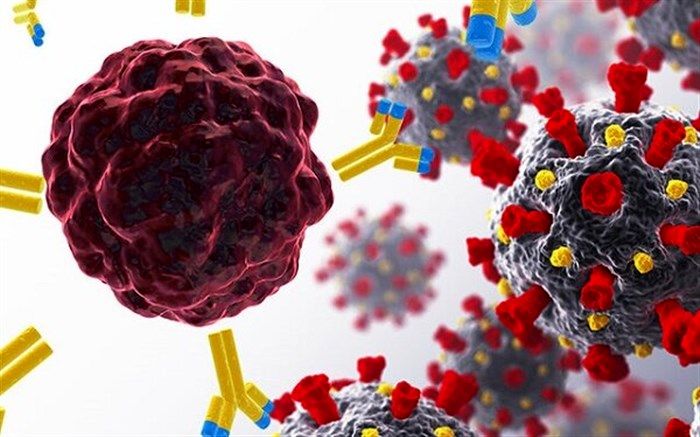 ریسک مرگ مبتلایان به کرونا در چه کسانی بیشتر است؟