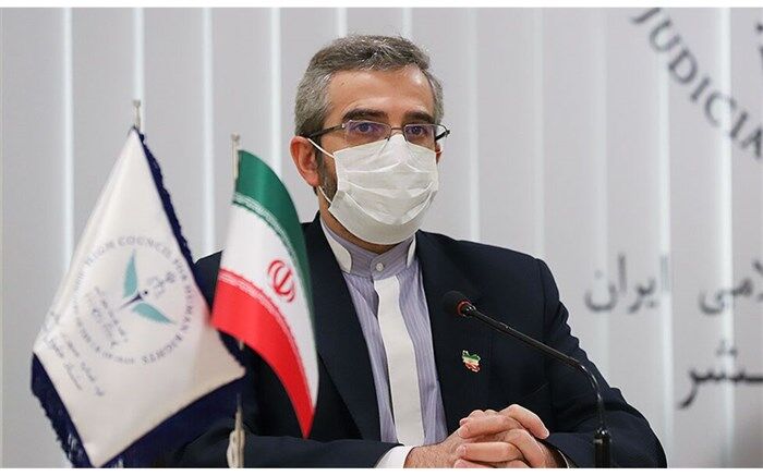 باقری‌کنی: ما از هیچ کوششی برای پیشبرد منافع ملی فروگذار نخواهیم کرد