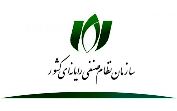 آمادگی سازمان نظام صنفی رایانه‌ای برای  رفع محدودیت‌های خارجی و داخلی در زمینه دارایی‌های دیجیتال