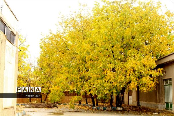 پاییز همدان