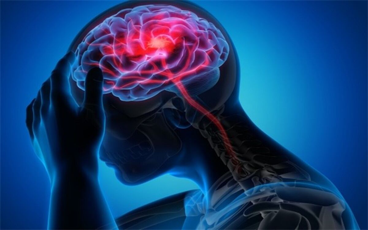 مصرف چربی خطر سکته را بالا می‌برد؟