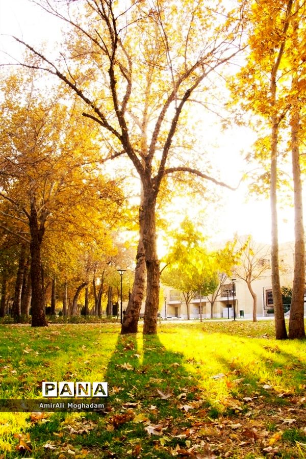 پاییز در مشهد