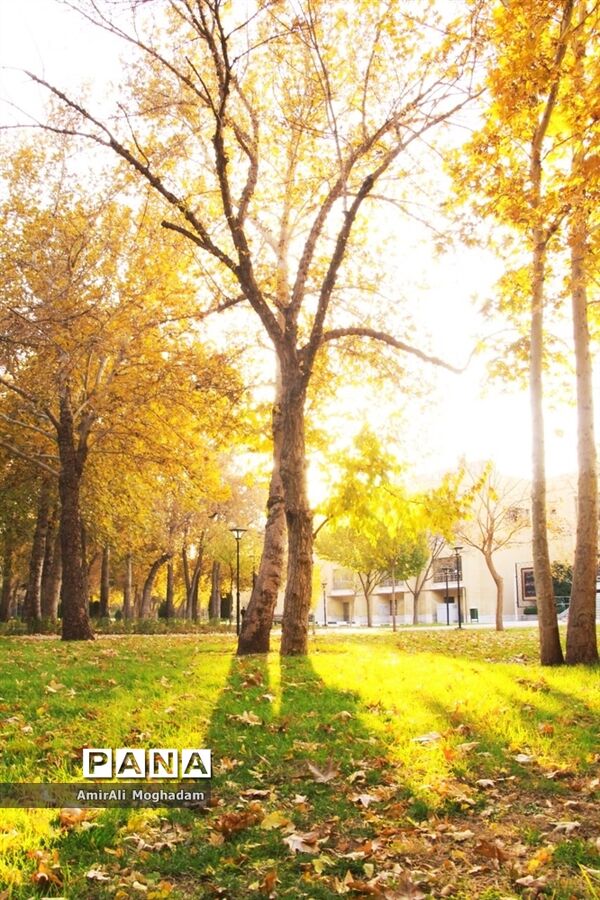 پاییز در مشهد