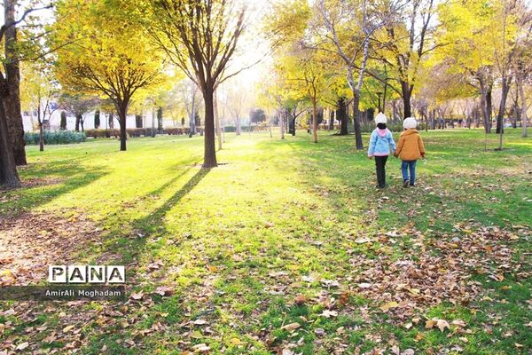 پاییز در مشهد
