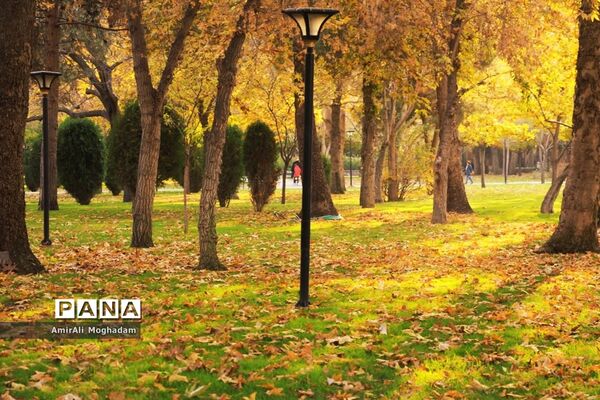 پاییز در مشهد