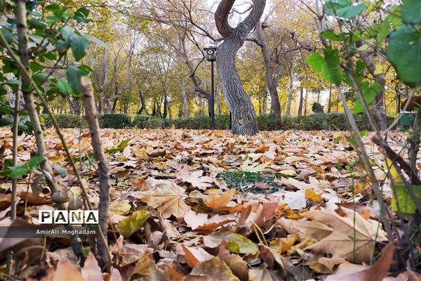 پاییز در مشهد