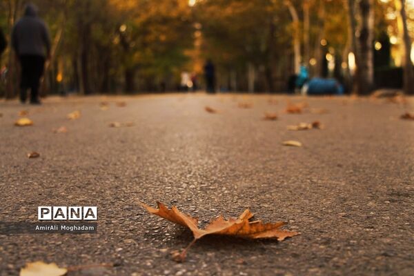 پاییز در مشهد
