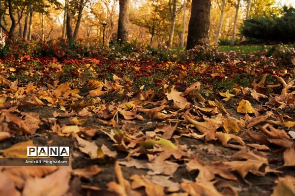 پاییز در مشهد