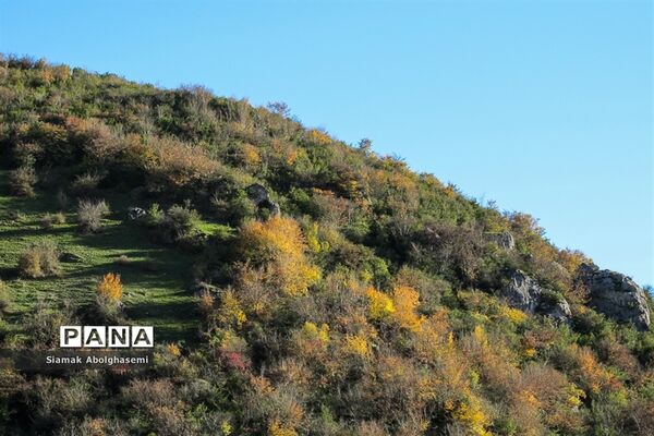 طبیعت پاییزی دودانگه ساری