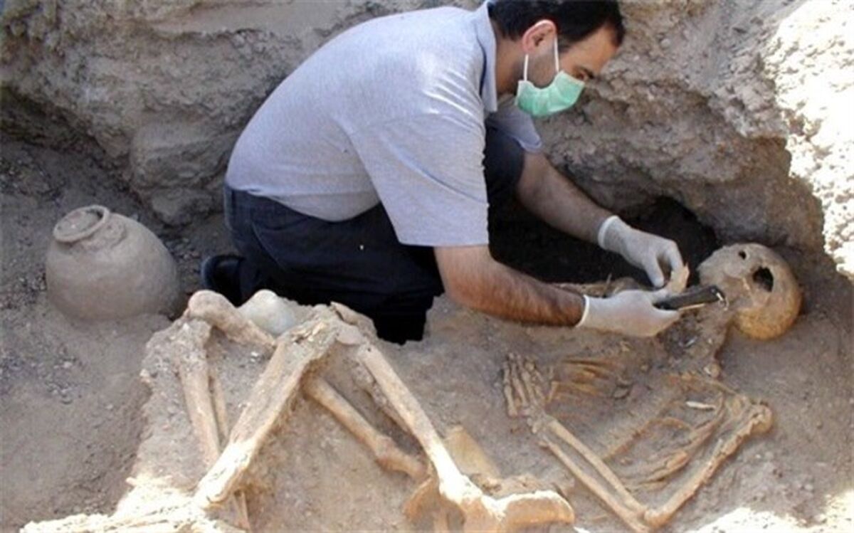 نوزدهمین فصل کاوشگری در شهرسوخته بزودی آغاز می شود