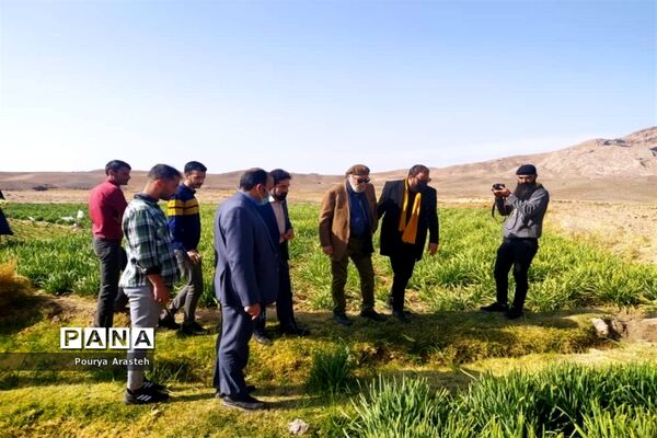 تقدیر از داریوش ارجمند هنرمند پیشکسوت سینما و تلویزیون در فرمانداری شهرستان خوسف