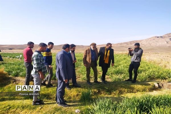 تقدیر از داریوش ارجمند هنرمند پیشکسوت سینما و تلویزیون در فرمانداری شهرستان خوسف