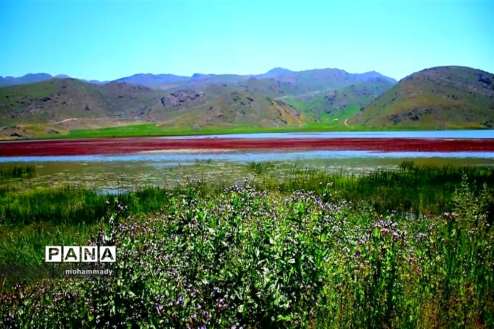 اسناد مالکیت حد نگار شده اراضی ملی نئور تحویل محیط زیست می‌شود