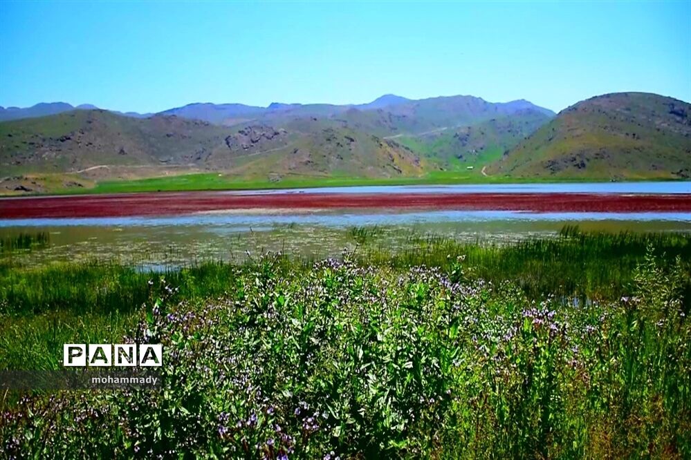 اسناد مالکیت حد نگار شده اراضی ملی نئور تحویل محیط زیست می‌شود