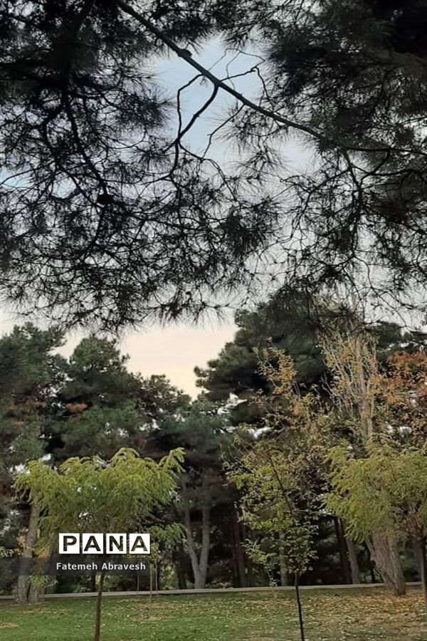 طبیعت پاییزی تهران