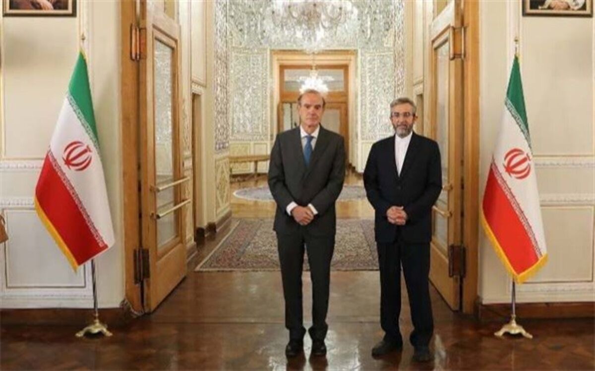 باقری و مورا در وین دیدار کردند