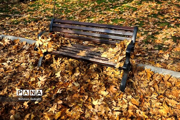 طبیعت پاییزی بوستان ملت