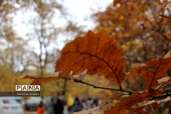 جشنواره پاییز هزار رنگ در گرگان