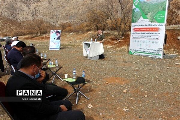پویش بذرکاری برای احیا و توسعه جنگل‌های زاگرس کرمانشاه
