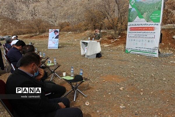 پویش بذرکاری برای احیا و توسعه جنگل‌های زاگرس کرمانشاه
