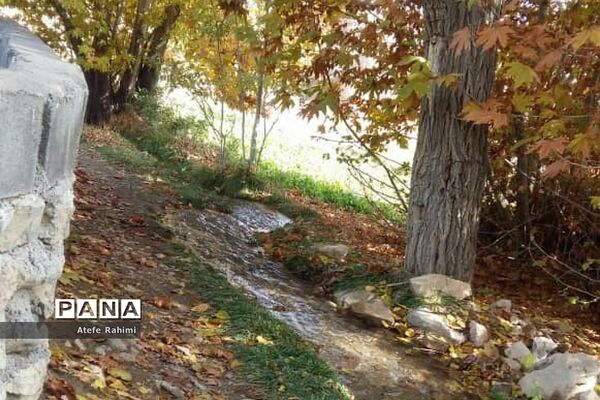آخرین روزهای پاییز در دارآباد