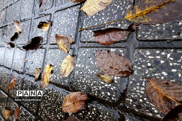 آخرین روزهای پاییز در تهران