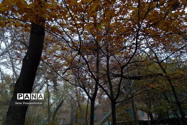 آخرین روزهای پاییز در تهران