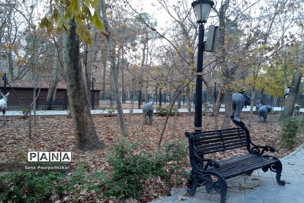 آخرین روزهای پاییز در تهران