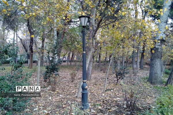 آخرین روزهای پاییز در تهران