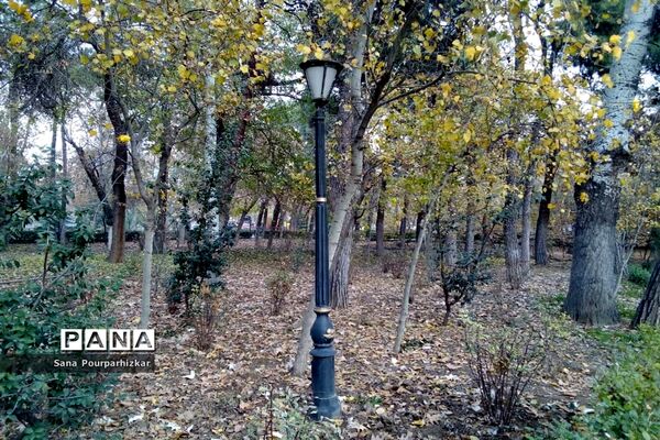 آخرین روزهای پاییز در تهران