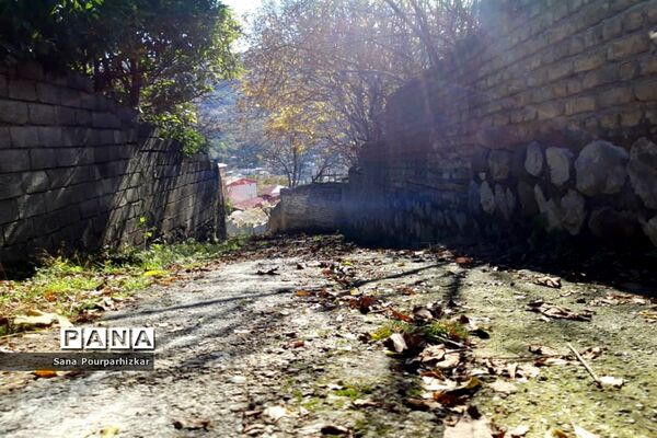 آخرین روزهای پاییز در تهران