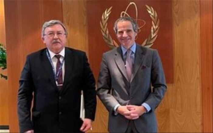 گروسی و اولیانوف در وین با یکدیگر گفت‌وگو کردند