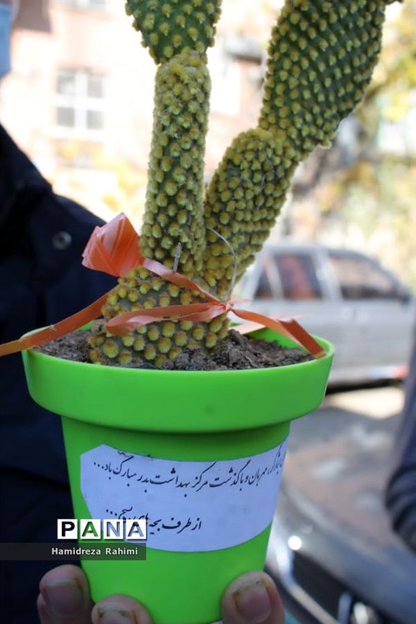 تکریم از مقام شهدای مدافع سلامت و تجلیل از کادر بهداشت و درمان