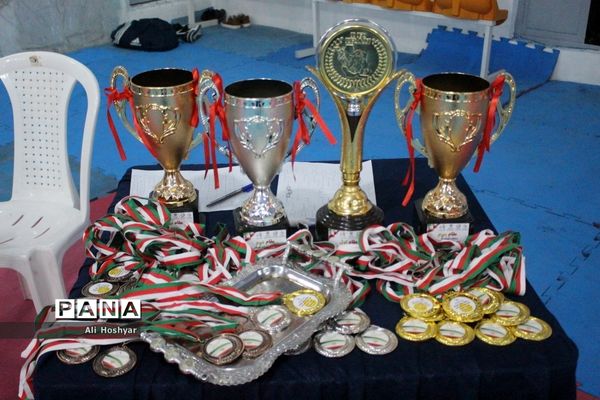 مسابقات قهرمانی دانش‌آموزان استان بوشهر، سومین دوره المپیاد استعدادهای برتر رشته تکواندو