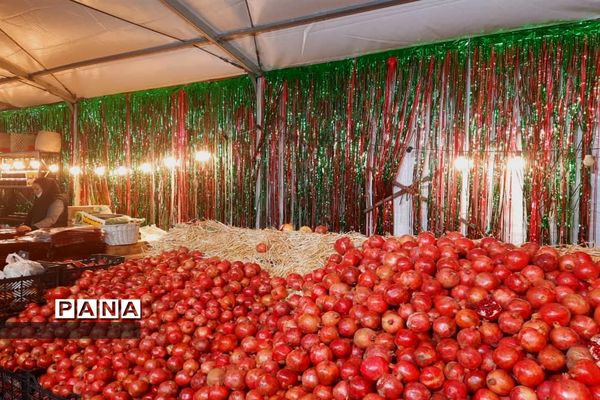 جشنواره انار تهران در گذر گردشگری پارک آب و آتش