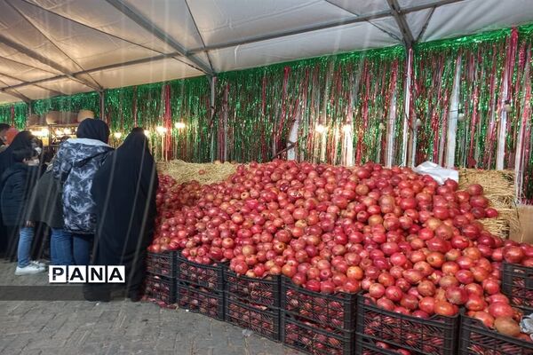 جشنواره انار تهران در گذر گردشگری پارک آب و آتش