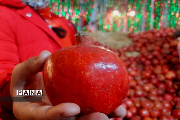 جشنواره انار تهران در گذر گردشگری پارک آب و آتش
