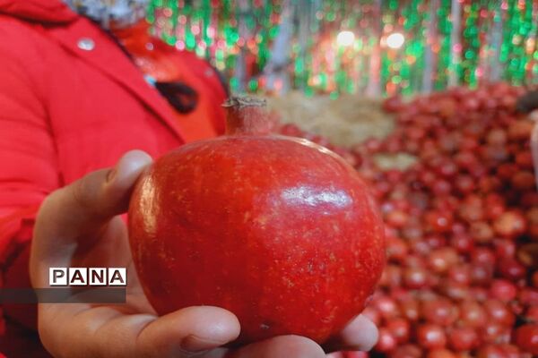 جشنواره انار تهران در گذر گردشگری پارک آب و آتش