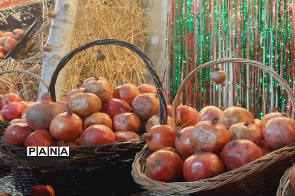 جشنواره انار تهران در گذر گردشگری پارک آب و آتش