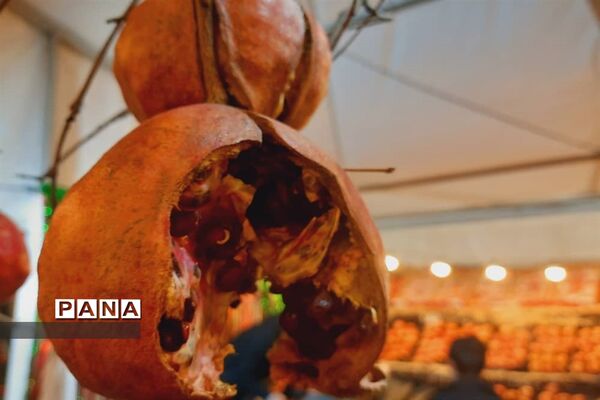 جشنواره انار تهران در گذر گردشگری پارک آب و آتش