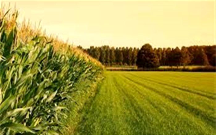 آزادسازی 3 هکتار از اراضی کشاورزی تبریز