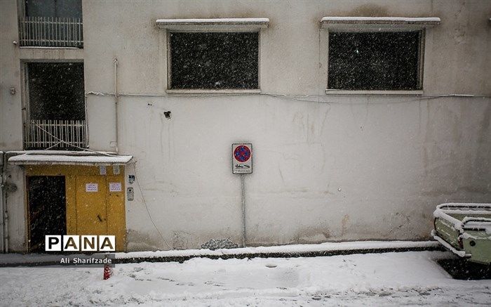 بارش برف و باران در پایتخت