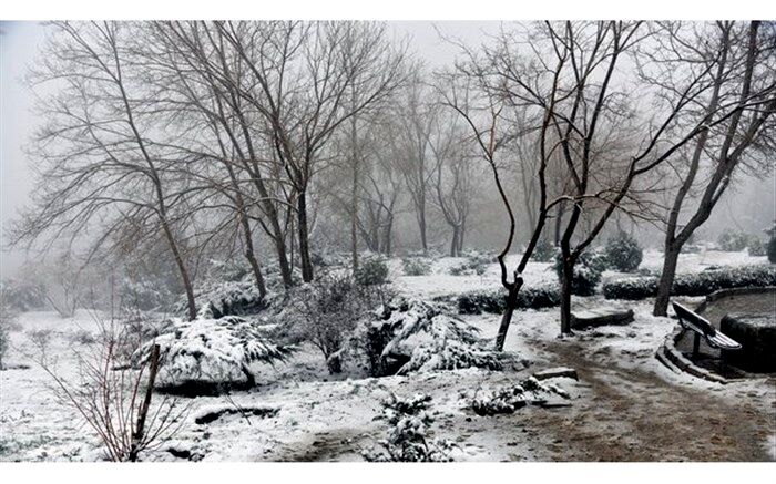 برف سمیرم و فریدونشهر را سفیدپوش کرد
