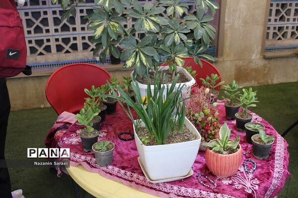 بازارچه مهربانوی شهرستان اسلامشهر