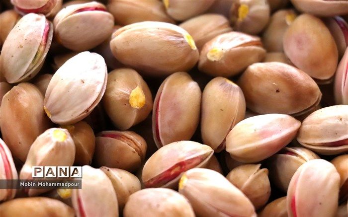 صادرات پسته چقدر ارزآوری داشته است؟