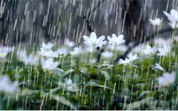 بارش برف و باران در شهرکاج