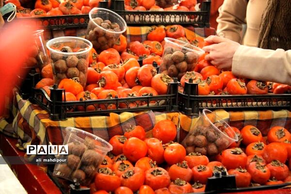 هیاهوی شهر در آستانه شب یلدا