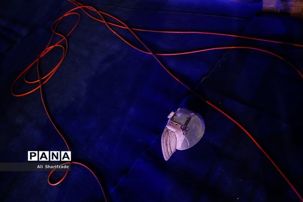 لیگ برتر شمشیربازی