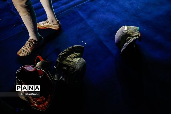 لیگ برتر شمشیربازی