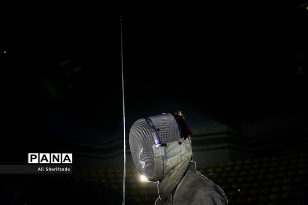 لیگ برتر شمشیربازی